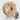 AMBROSIA ASA Filament of the Gods - 1KG Bambu AMS Friendly Cardboard Spools Premium 3D Printing Filament House ASA - The Virtual Foundry - Filament