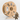 AMBROSIA ASA Filament of the Gods - 1KG Bambu AMS Friendly Cardboard Spools Premium 3D Printing Filament House ASA - The Virtual Foundry - Filament