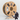 AMBROSIA ASA Filament of the Gods - 1KG Bambu AMS Friendly Cardboard Spools Premium 3D Printing Filament House ASA - The Virtual Foundry - Filament