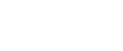 The Virtual Foundry Logo